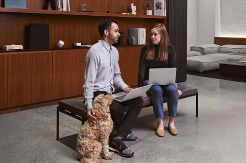 People in discussion while one pets a dog.